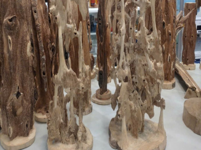 Cây cảnh trầm hương Đại La Thiên 대라천 침향 분재