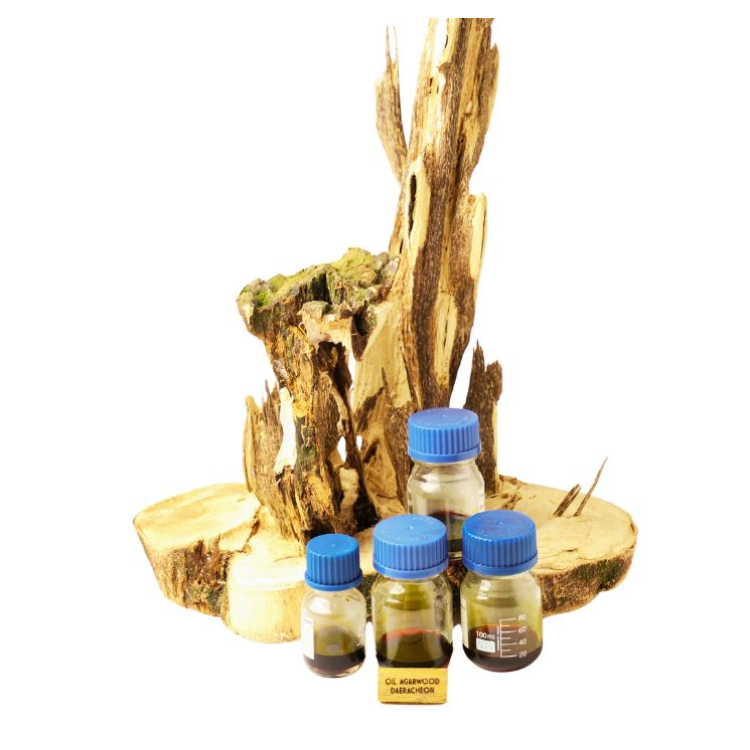 TINH DẦU TRẦM HƯƠNG -  침향 수지(오일) 