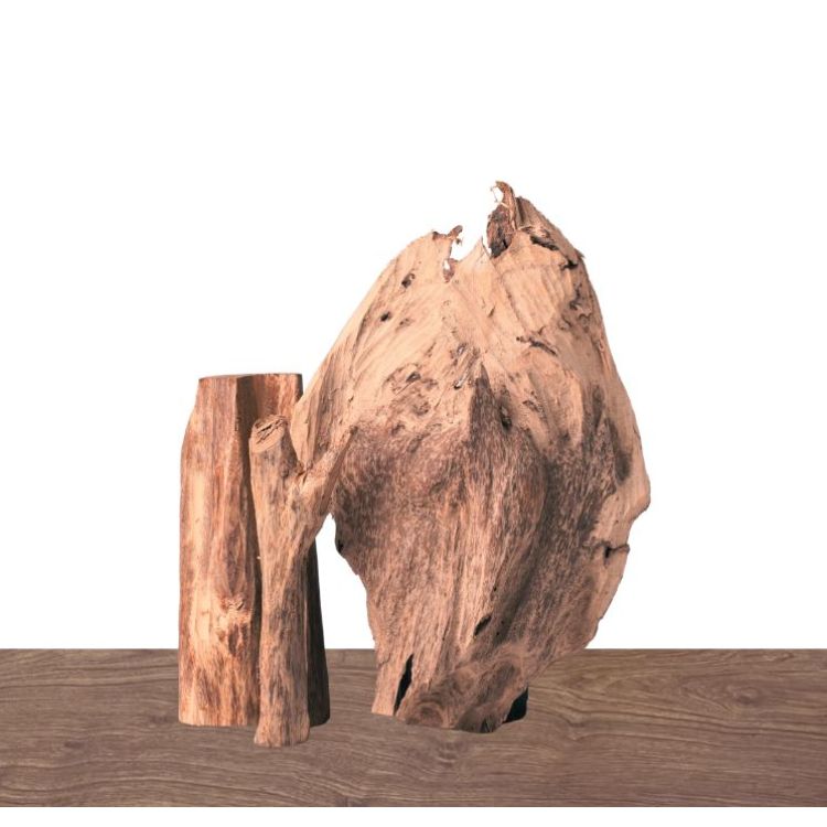 Cây cảnh trầm hương - 침향 분재