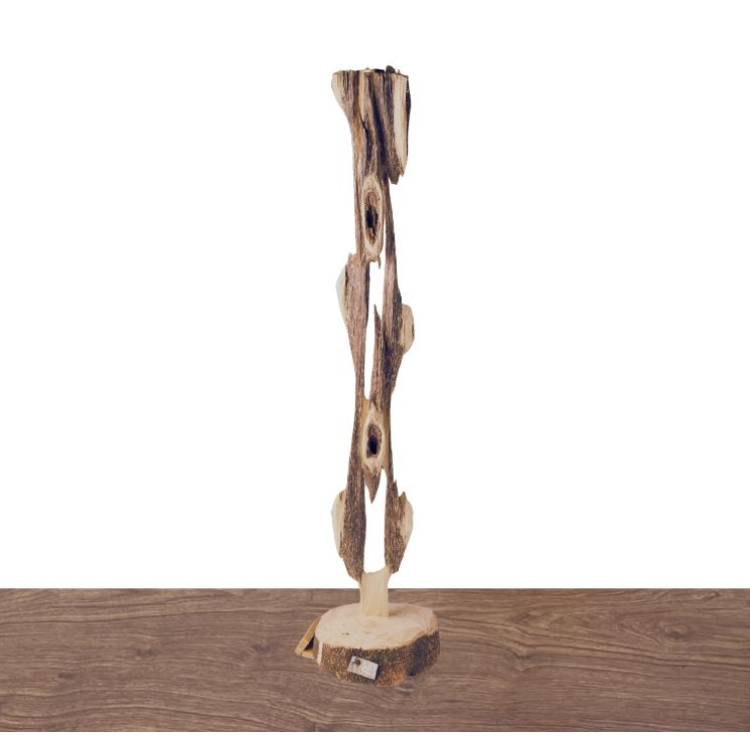 Cây cảnh trầm hương - 침향 분재