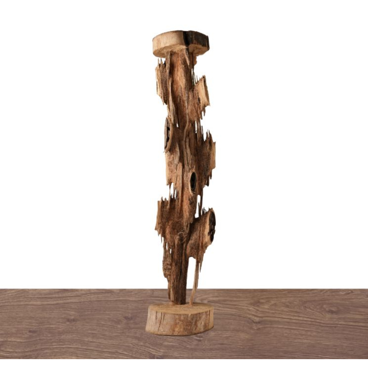 Cây cảnh trầm hương - 침향  나무